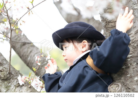 桜と入園式を迎えた3歳の女の子 126110502
