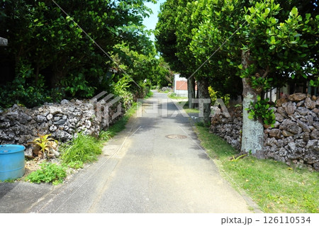 沖縄県八重山諸島の道路と住宅の石垣グック(波照間島) 沖縄県八重山諸島の道路と住宅の石垣グック(波照間島) 126110534