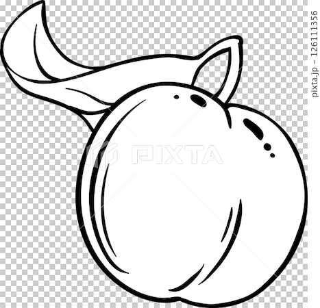 Peach Fruit Outline Illustration. 126111356