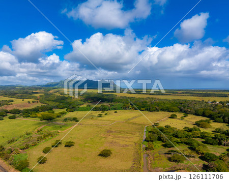 Aerial view of Kauai island's lush green fields, dense trees, and jagged Napali cliffs under a blue sky with scattered clouds in Hawaii. Aerial view of Kauai island's lush green fields, dense trees, and jagged Napali cliffs under a blue sky with scattered clouds in Hawaii. 126111706