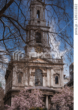 Historic St. Martin in the Fields church in London framed by bare branches and pink blossoms, with a white facade and blue sky in the background. Historic St. Martin in the Fields church in London framed by bare branches and pink blossoms, with a white facade and blue sky in the background. 126111822