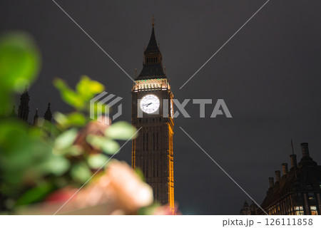 Big Ben glows brightly against a dark sky, with intricate details highlighted. Blurred greenery and flowers in the foreground add depth to the urban scene. 126111858