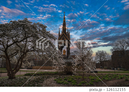 The Albert Memorial in London stands amidst blooming white trees, featuring a golden statue of Prince Albert under a vibrant blue sky with scattered clouds. 126112155