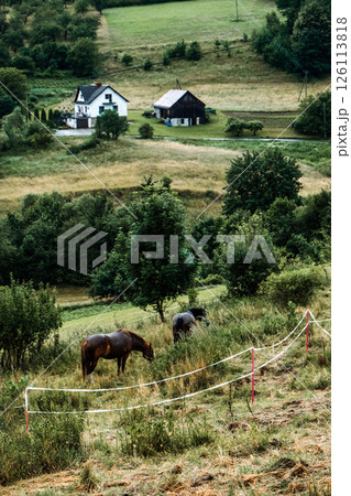 Two horses grazing in a fenced pasture near a farmhouse and barn in a rolling rural landscape. Rural escapism, digital detox, slow living, mental wellness in nature.. 126113818