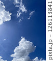 突き抜ける青に色どりを与えてくれる雲、朝の空1 126113841