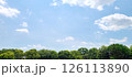 夏の青空と白い雲、新緑の木 126113890