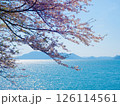 桜彩る美しい海 126114561