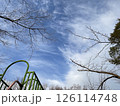 冬の公園で、見上げた空 126114748
