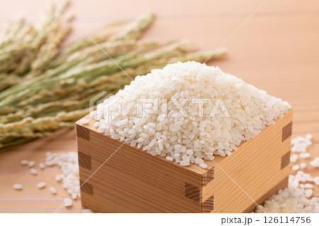 新米と稲穂 126114756