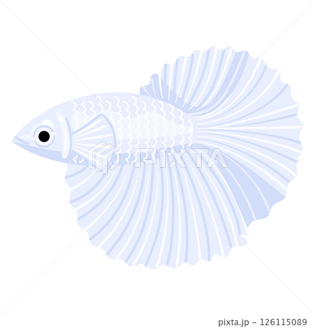 ベタのイラスト 126115089