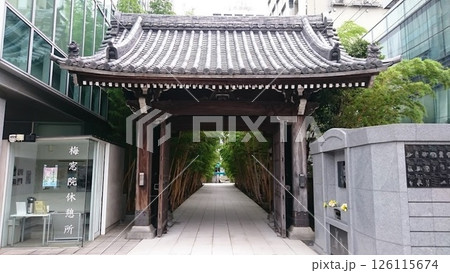 港区南青山にある梅窓院 126115674