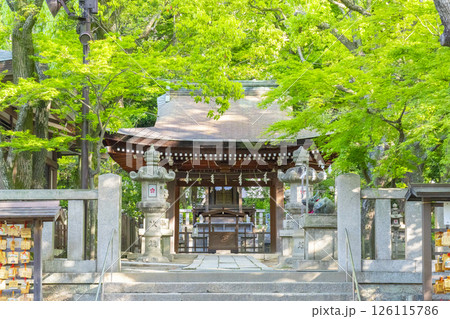 湊川神社　菊水天満神社（兵庫県神戸市） 126115786