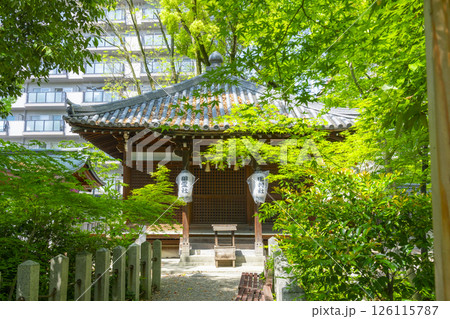 杭全神社　新緑に包まれた田村堂（祖霊社） 126115787