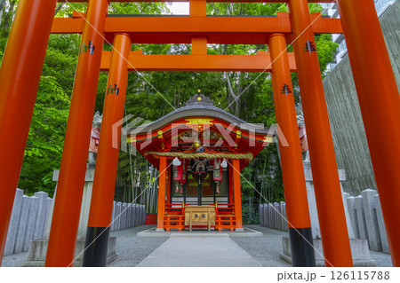 生田神社境内に鎮座する稲荷神社　連なる鳥居 126115788