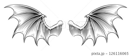 Bat Dragon Devil Demon Vampire Wings Illustration 126116065