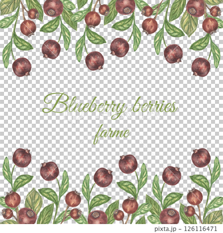 Watercolor Botanical frame with Summer Blueberries and green leaves in Decorative style. A template for greeting cards, wedding invitations, and a summer background. Watercolor Botanical frame with Summer Blueberries and green leaves in Decorative style. A template for greeting cards, wedding invitations, and a summer background. 126116471