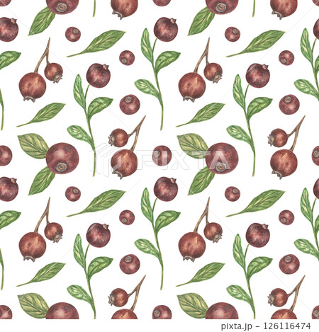 Seamless pattern with blueberries and green leaves, vintage style. Decorative floral pattern for wrapping paper, decoupage, fabrics and wallpaper. Bright summer watercolor print. 126116474