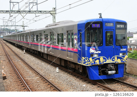 京王9000系　9731F　更新後　サンリオラッピングトレイン3代目　京王相模原線内 126116620