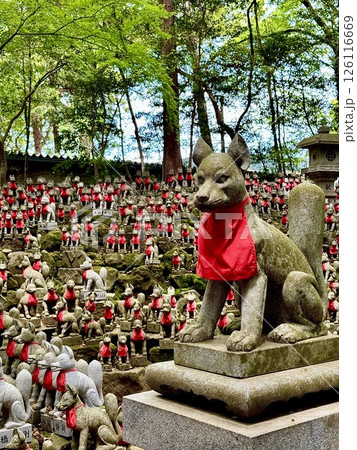 豊川稲荷　無数の狐の石像が並ぶ霊狐塚 126116669