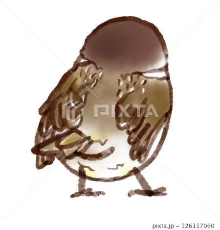 すずめのヒナの後ろ姿（墨ペン水彩風） 126117060