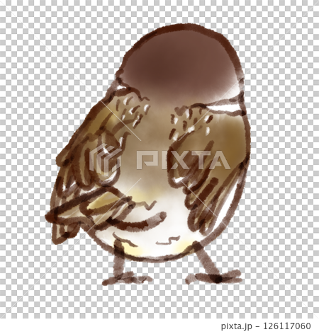 すずめのヒナの後ろ姿（墨ペン水彩風） 126117060