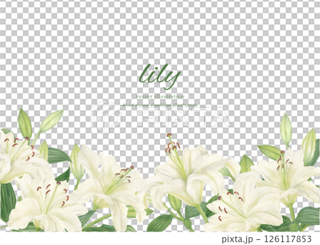 用水彩繪製的白色卡薩布蘭卡的框架材料 126117853