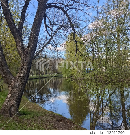 Tranquil park scene with central reflective pond surrounded by lush trees and large canopy tree, bright sunlight over peaceful grassy area, concept of wellness, travel, nature retreat Tranquil park scene with central reflective pond surrounded by lush trees and large canopy tree, bright sunlight over peaceful grassy area, concept of wellness, travel, nature retreat 126117964