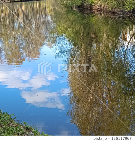Tranquil park scene with central reflective pond surrounded by lush trees and large canopy tree, bright sunlight over peaceful grassy area, concept of wellness, travel, nature retreat 126117967