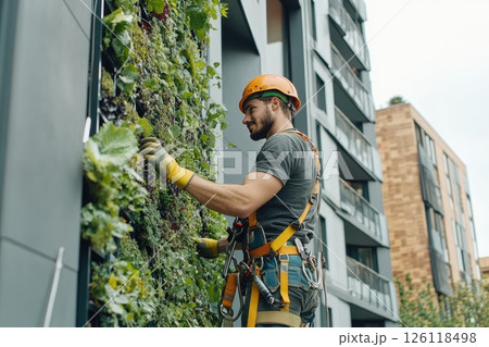 Male gardener in safety gear is maintaining a vertical garden on a building facade, showcasing vibrant greenery and urban landscaping techniques for sustainable living 126118498
