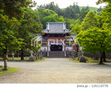手向山八幡宮の参道と楼門 126118776