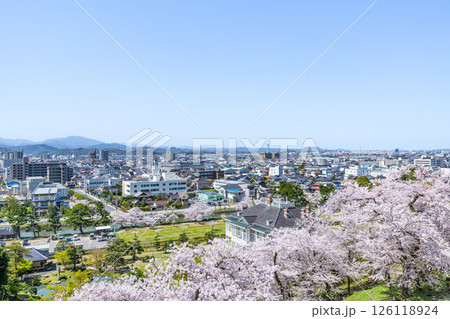 鳥取県鳥取市 満開の桜と鳥取城跡から見る快晴の鳥取の街並み 鳥取県鳥取市 満開の桜と鳥取城跡から見る快晴の鳥取の街並み 126118924