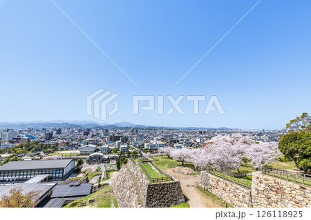 鳥取県鳥取市　満開の桜と鳥取城跡から見る快晴の鳥取の街並み 126118925