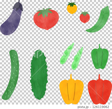 籃子裡的夏季蔬菜的水彩插圖 籃子裡的夏季蔬菜的水彩插圖 126119062