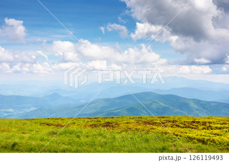 beautiful carpathian mountain landscape of ukraine. sunny day in summer. picturesque highland with lush slopes of breathtaking alps. blue sky with clouds. travel background beautiful carpathian mountain landscape of ukraine. sunny day in summer. picturesque highland with lush slopes of breathtaking alps. blue sky with clouds. travel background 126119493
