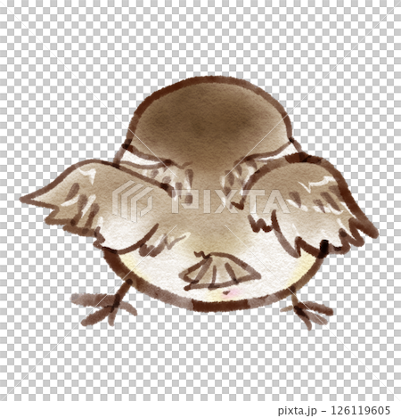 麻雀雛鳥的背影（墨水筆水彩風格） 126119605