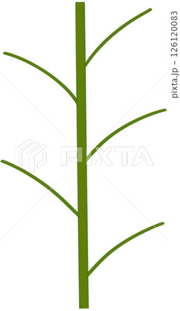 Beautiful shape and green colors tone of fresh plant stem and stalk. 126120083