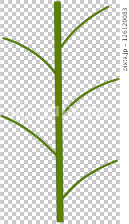 Beautiful shape and green colors tone of fresh plant stem and stalk. 126120083