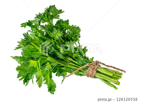 Fresh green parsley bunch isolated on white background Fresh green parsley bunch isolated on white background 126120338