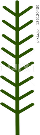 Beautiful shape and green colors tone of fresh plant stem and stalk. Beautiful shape and green colors tone of fresh plant stem and stalk. 126120489