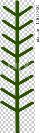 Beautiful shape and green colors tone of fresh plant stem and stalk. Beautiful shape and green colors tone of fresh plant stem and stalk. 126120489