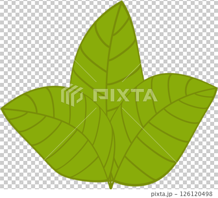 Beautiful shape and green colors tone of fresh plant leaves. 126120498