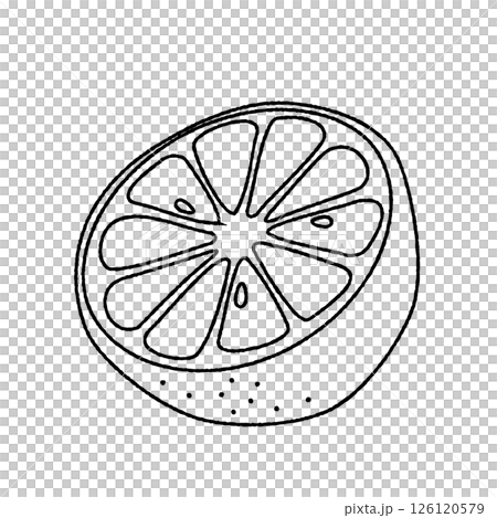 Line drawing illustration of cut lemon 126120579