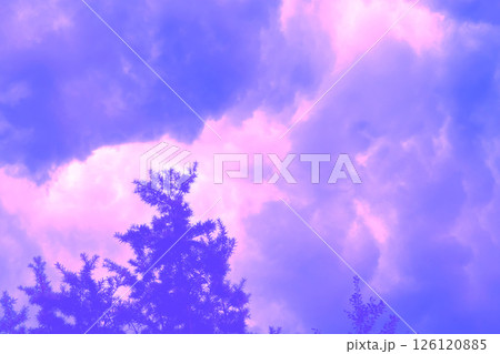 Vibrant sky with purple clouds and silhouetted trees. Soft focus, blurring creates and ethereal atmosphere 126120885