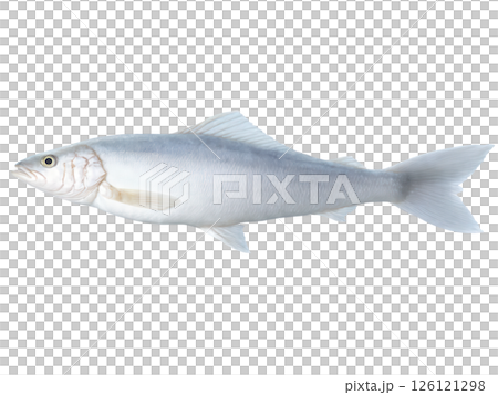 Haddock Fillet - A mild white fish, often used for fish and chips or baked dishes. 126121298