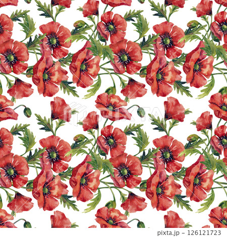 Watercolor red poppy frame background for graphic resources. Watercolor poppies illustration on a white background. 126121723