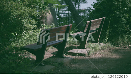 公園のベンチ 126122019