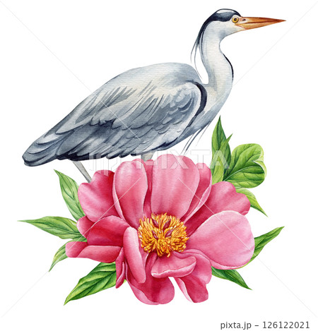 Heron bird peony flower and green leaves, floral botanical design for spring decor, elegant nature animal illustration 126122021