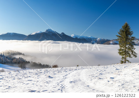Snowy winter landscape in a misty sunny morning. The Mala Fatra national park in northwest of Slovakia, Europe. 126122322