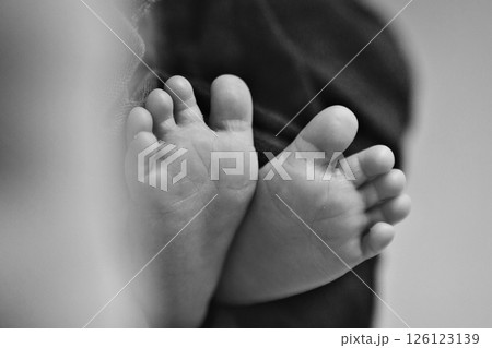the legs of a newborn. the heels, the fingers of a baby, a child. Childbirth, maternity capital, artificial insemination, IVF, mortgage, family, love. High quality photo the legs of a newborn. the heels, the fingers of a baby, a child. Childbirth, maternity capital, artificial insemination, IVF, mortgage, family, love. High quality photo 126123139