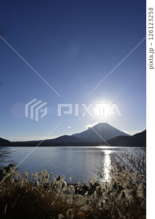 本栖湖から見る富士の日の出 126123258